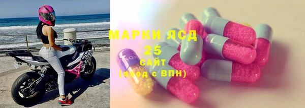 PSILOCYBIN Лагань