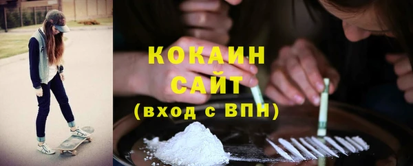 PSILOCYBIN Лагань