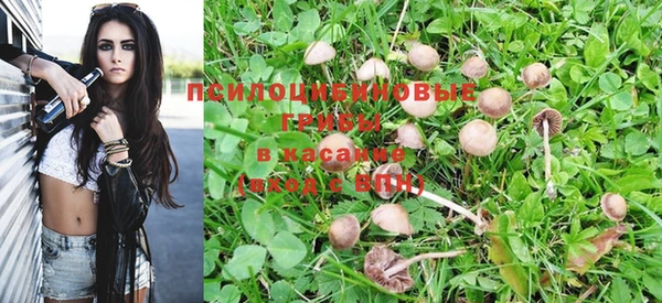 прущие крисы Фёдоровский
