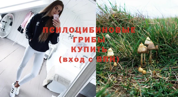 бошки Кукмор