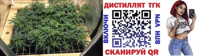 Дистиллят ТГК гашишное масло  Бежецк 