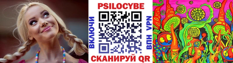 Псилоцибиновые грибы MAGIC MUSHROOMS  купить наркотик  Бежецк 